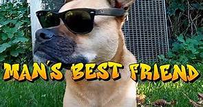 DOG EAT DOG - Man's Best Friend (Official Video)