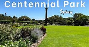 Beautiful Walk at Centennial Park - Sydney Australia