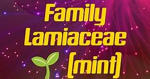Family Lamiaceae 🌱 Mint Family floral characters, formula, Diagram, economic Important #bsc