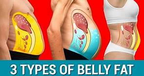 The 3 Belly Types: WHICH ONE DO YOU HAVE?