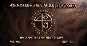 40 Acres and a Mule FilmWorks (1994)