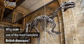 Why scan one of the most complete British dinosaurs? | Natural History Museum