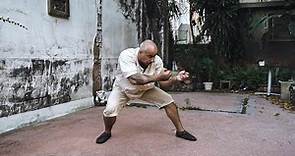 Rare and Ancient Tai Chi Monkeyfist Sequence