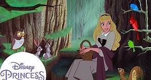 Aurora's Forest Friends | Sleeping Beauty | Disney Princess