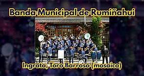 Banda Municipal de Rumiñahui - Ingrata, Toro barroso (mosaico)
