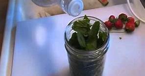 How to Make Mint Extract! Noreen's Kitchen