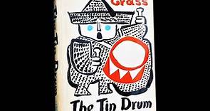 Plot summary, “The Tin Drum” by Gunter Grass in 5 Minutes - Book Review