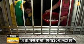 【2013.08.29】康芮挾豪雨 雲林多處水淹至腰 -udn tv