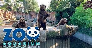 Zoo Aquarium Madrid - Full Walking Tour - Septiembre 2023