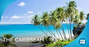 Best Cruises to Caribbean | 2024 - 2025 Cruises | Norwegian Cruise Line
