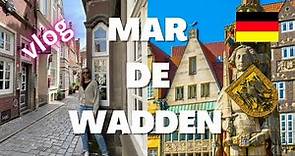 Paseando con Isa - Mar de Wadden, Bremerhaven, Bremen 🇩🇪