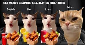 Cat MEMES Roadtrip Compilation Full 1 Hour