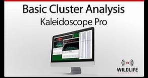 Kaleidoscope Pro: Basic Cluster Analysis | Identify and Analyze Animal Sounds