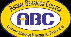 About Animal Behavior College - Animal Behavior College