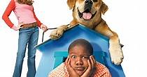 Life Is Ruff - movie: where to watch streaming online