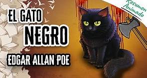 El Gato Negro por Édgar Allan Poe | Resúmenes de Libros