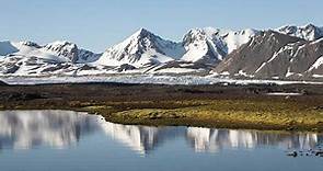 Tundra: características, clima, tipos, flora y fauna