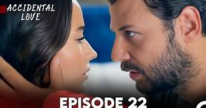 Accidental Love Episode 22 (FULL HD)
