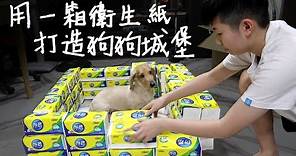 [chu日常] 用一箱衛生紙，打造狗狗城堡！