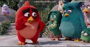 The Angry Birds Movie - Bird Court