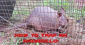 How to catch an Armadillo
