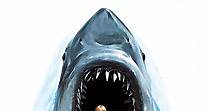 Tiburón 2 - película: Ver online completa en español