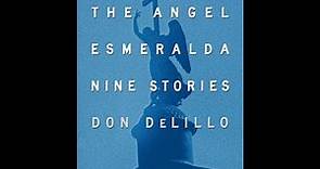 Plot summary, “The Angel Esmeralda: Nine Stories” by Don DeLillo in 5 Minutes - Book Review