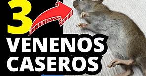 3 FULMINANTES VENENOS CASEROS para Ratas y Ratones ¡FUNCIONAN!