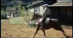 Posse From Hell (1961) Trailer