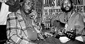 Sonny Terry & Brownie McGee - Midnight Special