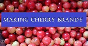 Making Cherry Brandy Simple and Delicious