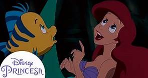 Los mejores momentos de Ariel y sus amigos | Disney Princesa