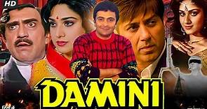 Damini Full Movie Review & Facts | Meenakshi Seshadri | Rishi Kapoor | Sunny Deol | Amrish Puri | HD