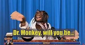 Love this clip from Gutfeld! where Gene Nelson, aka Dr. Monkey, is having some monkey business!