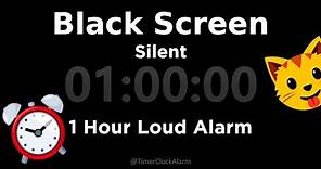 Black Screen 🖥 1 Hour Timer (Silent) 1 Hour Loud Alarm
