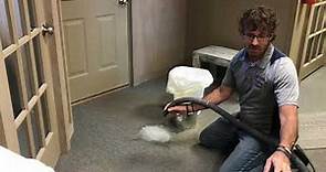 How to Clean Spilled Paint Out of Carpet- Serving Warsaw and Syracuse, Indiana