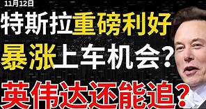 【特斯拉重磅利好】三年后终于啃下印度市场，市占率以及业绩将被引爆？股票暴涨开始？英伟达发新品股价继续涨还能追吗？#特斯拉#特斯拉股票 #美股 #美股分析#股哥说美股 #tesla #马斯克 #美股复盘