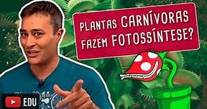 PLANTAS CARNÍVORAS FAZEM FOTOSSÍNTESE?