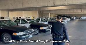 LAPD Up Close - Episode 19 (Central Gang Enforcement Detail)