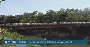 Conheça a rotina de uma comitiva do Pantanal em Aquidauana MS - Parte 2