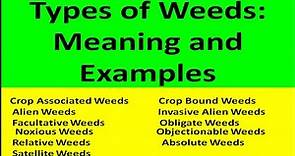 Types of Weeds: Meaning and Examples