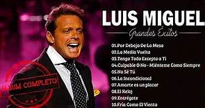 Luis Miguel Top 30 Best Songs 💖💖💖 Luis Miguel 90's éxitos sus mejores romanticás