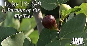 Verse by Verse - Parable of the Fig Tree - Luke 13:6-9