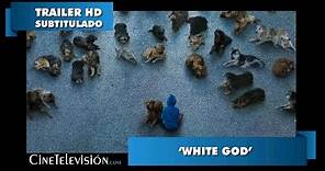 White God - Trailer #1 subtitulado