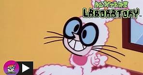 Dexter's Laboratory | Catch of the Day | Cartoon Network