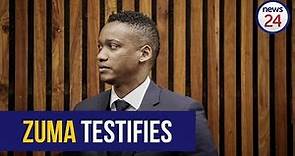 WATCH LIVE | Duduzane Zuma testifies at state capture inquiry (Part 2)