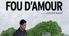 Amor loco / Fou d'amour (2015) Online - Película Completa en Español - FULLTV