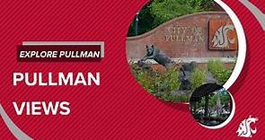 Pullman views