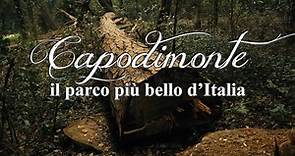 Capodimonte, il parco più bello d'Italia