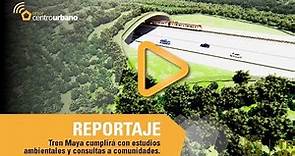 Tren Maya cumplirá con estudios de impacto ambiental